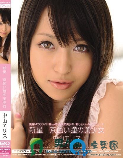 中山艾莉丝(中山エリス)最新视频作品番号封面大全