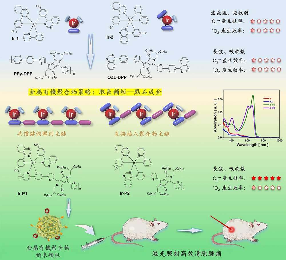 澳门大学成功开发提高疗效的光敏感抗癌药