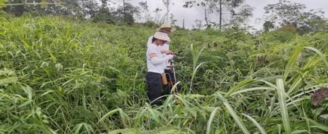 保护生物多样性，宜宾生态环境监测铁军在行动