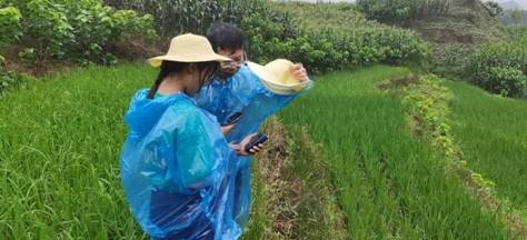 保护生物多样性，宜宾生态环境监测铁军在行动